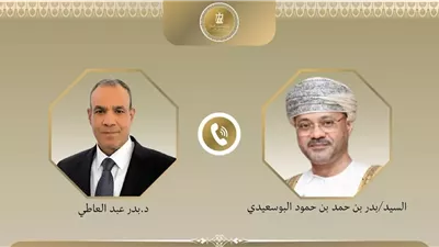وزير الخارجية يؤكد أهمية التهدئة في اليمن وخفض التصعيد