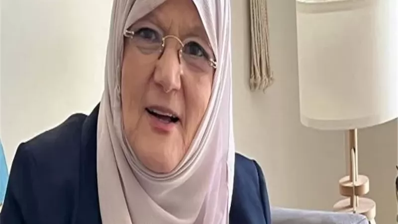 شمس البارودى