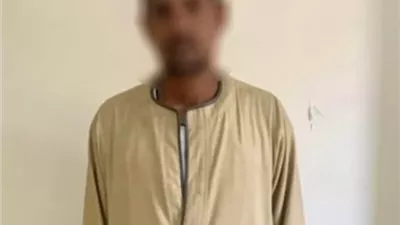 ضبط شخص بتهمة توجيه الناخبين بالأقصر