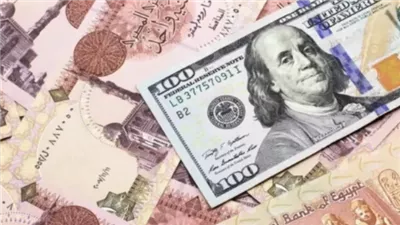 سعر الدولار اليوم في البنوك المصرية الأربعاء 7 يناير