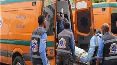 مصرع طفل تحت عجلات سيارة في سمالوط