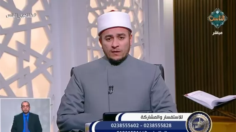 الدكتور محمود شلبي