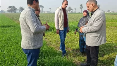 البحوث الزراعية