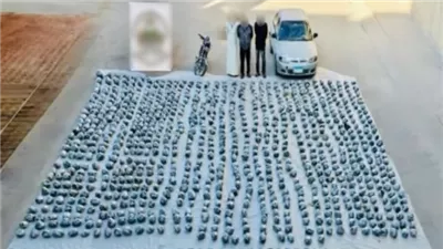 إحباط ترويج 1.5 طن هيدرو وحشيش بقيمة 100 مليون جنيه فى السويس