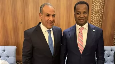 وزير الخارجية يؤكد التزام مصر بمواصلة تقديم الدعم لبناء المؤسسات الصومالية