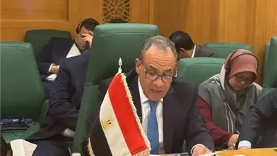 وزير الخارجية يؤكد دعم مصر لسيادة الصومال والحقوق المشروعة للشعب الفلسطيني