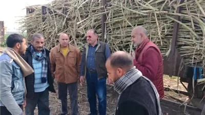 مدير زراعة المنيا يتفقد الزراعات الحديثة بأبو قرقاص وسمالوط ومطاي