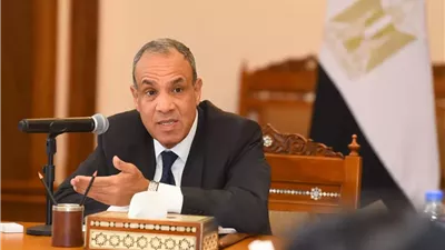 وزير الخارجية يؤكد على الدور المحورى للقطاع الخاص في تعزيز الشراكات الاقتصادية مع أفريقيا