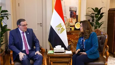 وزيرة التنمية المحلية تبحث تحديث الهياكل التنظيمية للوزارة