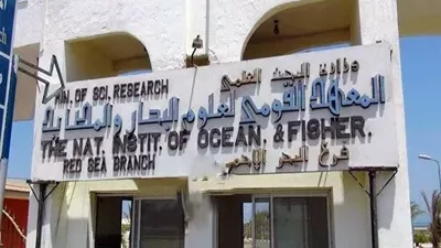 حصاد المعهد القومي لعلوم البحار والمصايد لعام 2025
