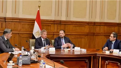 خالد عبدالعزيز يلتقي رئيس مجلس الشيوخ