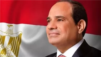 الرئيس السيسي يستقبل مستشار البيت الأبيض للشئون العربية والأفريقية