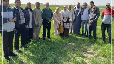 تحسين انتاج محصول الشعير بالإسماعيلية بأصناف جديدة وحقول إرشادية