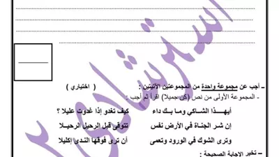 نموذج استرشادي بامتحان اللغة العربية بمديرية تعليم القاهرة