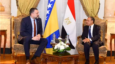 وزير الخارجية يؤكد لنظيره البوسني ضرورة تعزيز العلاقات الاقتصادية