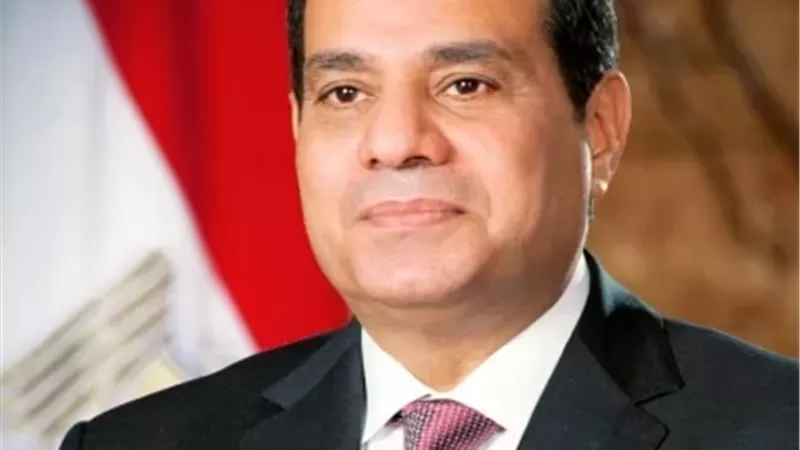 فخامة الرئيس عبد