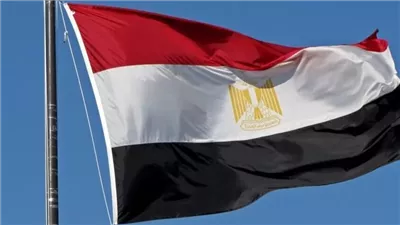 مصر ترحب باتفاق وقف إطلاق النار في سوريا