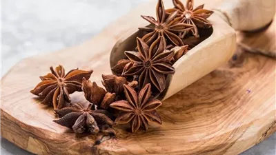 فوائد شرب اليانسون النجمي في الشتاء