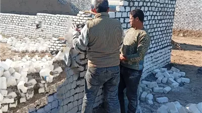 إزالة 13 حالة تعدٍ على الأراضى الزراعية بالشرقية