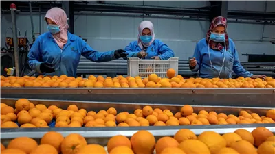 دعم20%من تكاليف الشحن إلى العراق وامريكا و30%للتسجيل علي المنصات