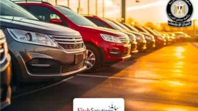 فيتش تشيد بنجاح مصر في جذب أكبر عدد من الاستثمارات بقطاع السيارات