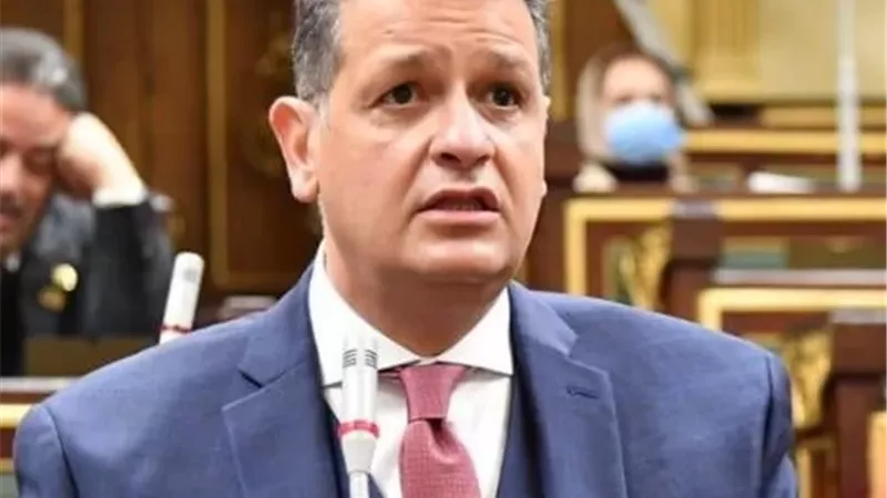 النائب طارق رضوان