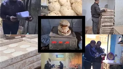 تحرير 39 محضراً ومخالفة تموينية خلال حملة على الأسواق بقليوب