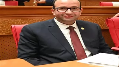 عمرو عويضة: قمة السيسي وترامب تعزز فرص السلام والاستقرار الاقليمي