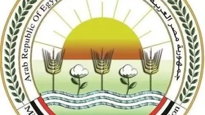 الزراعة: تحصين 1.2 مليون رأس ماشية ضد 