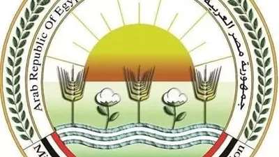 الزراعة: تحصين وتعقيم نحو 5 آلاف كلب حر منذ بداية العام