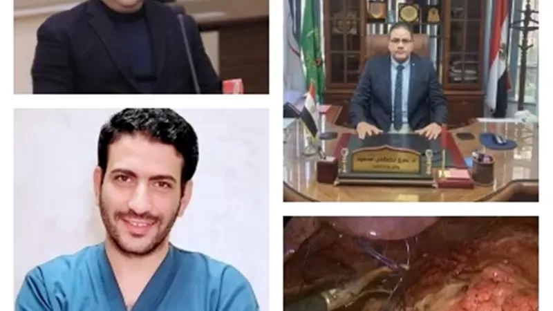 مستشفى قويسنا المركزي