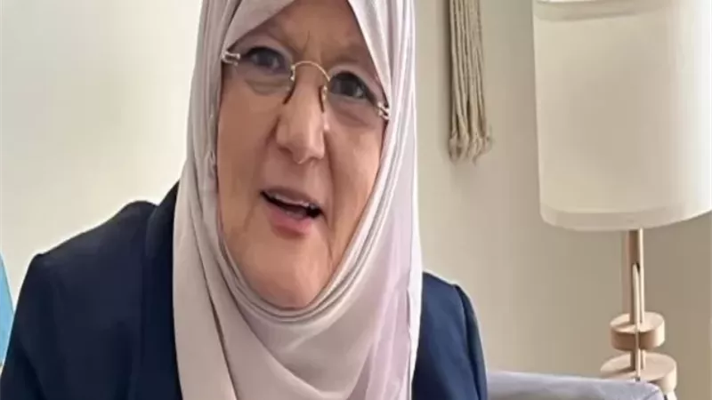 شمس البارودي
