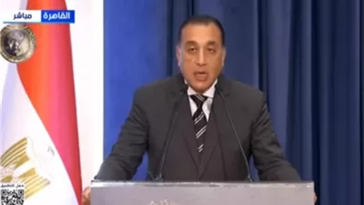 مدبولي: كل التقدير للرئيس السيسي على رعايته لجائزة مصر للتميز الحكومي