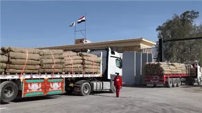 دفء مصر.. يصل إلى غزة