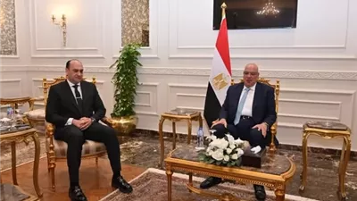 رئيس الرقابة الإدارية يهنئ المستشار هشام بدوي بتوليه منصب رئيس النواب