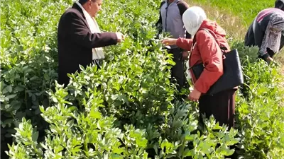 قافلة إصحاح بيئي شاملة لأهالي التل الكبير بالإسماعيلية..صور