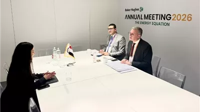 مباحثات مصرية إماراتية لزيادة فرص التعاون في مشروعات البترول والغاز