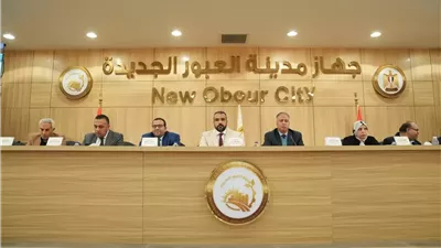 العبور الجديدة: فرص جديدة لتملك الأراضي ضمن خطة الدولة .. صور