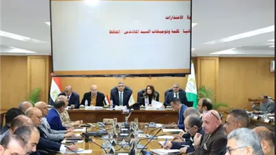 محافظ الجيزة يعلن بدء أعمال رصف شارع ناهيا في بولاق الدكرور