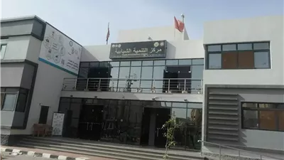 مراكز الشباب والتنمية الشبابية ببورسعيد تتسابق للحصول على
