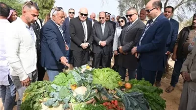 محافظ جنوب سيناء يشهد مشروع بحثي لتحويل المخلفات الزراعية إلى علف