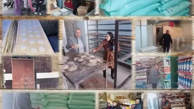 تموين القليوبية يحرر 55 مخالفة خلال حملات مكثفة بعدة مراكز