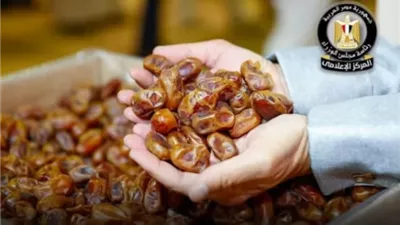 المركز الإعلامي لمجلس الوزراء ينفي استيراد مصر للتمور الإسرائيلية