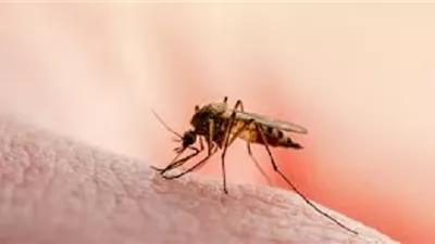 دراسة: الملاريا تهدد حياة نصف مليون شخص في أفريقيا بحلول 2050