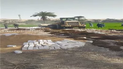 إزالة 2174 حالة تعد على الاراضي الزراعيه وأملاك الدولة بالمنيا