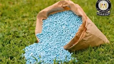 مركز الوزراء يوضح حقيقة نقص التقاوي والأسمدة لزراعة القمح