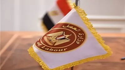 وزارة العمل تعلن عن فرص عمل للمصريين بالأردن براتب 450 ديناراً