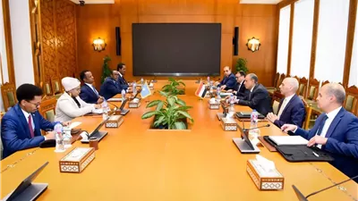 وزير الخارجية يؤكد على وحدة وسيادة الصومال ورفض مصر إنشاء كيانات
