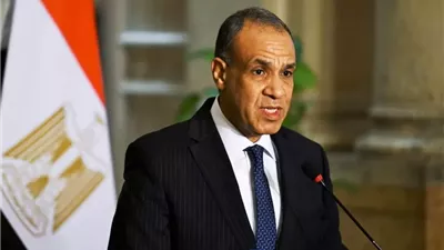 وزير الخارجية يبحث مع مدير وكالة الطاقة الذرية تطورات 