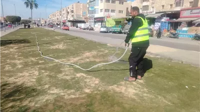 رفع كفاءة المسطحات الخضراء بالإسماعيلية..صور